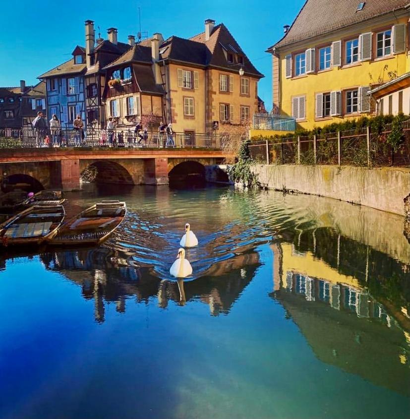 Maison 1708 - Rue Du Canard - City Center Colmar Eksteriør bilde